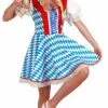 Beierse Dirndl Jurkjes -Party Outfitters beierse dirndl jurkjes