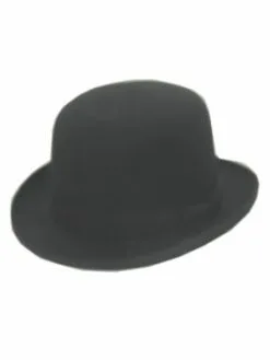 Bolhoed Hollands Model