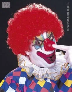 Clownspruik Met Krullen
