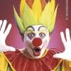 Clownspruik, Shock Meerkleurig -Party Outfitters clownspruik shock meerkleurig