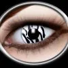 Contactlens Zebra