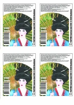 Feestkleding: Geisha-pruik
