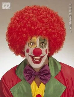 Feestpruik Jimmy Met Krul