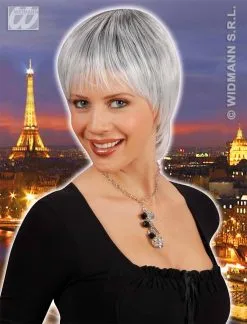 Feestpruik: Pruik, Paris