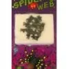 Fop Artikelen, Kleine Spinnen In Een Web 1 Fop Artikelen, Kleine Spinnen In Een Web -Party Outfitters fop artikelen kleine spinnen in een web