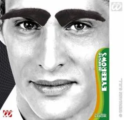 Forse Wenkbrauwen Zwart