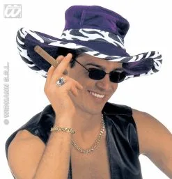 Funky Hoed -Party Outfitters funky hoed 2