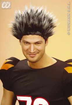 Grijze Pruik Met Wilde Haren