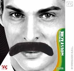 Grote Aanplak Zeiksnor