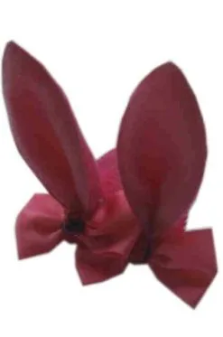 Haarclipjes Met Bunny Oortjes