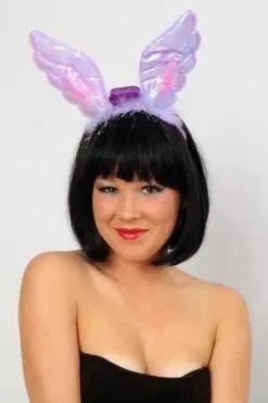 Kroontje Vleugeltjes Met Licht