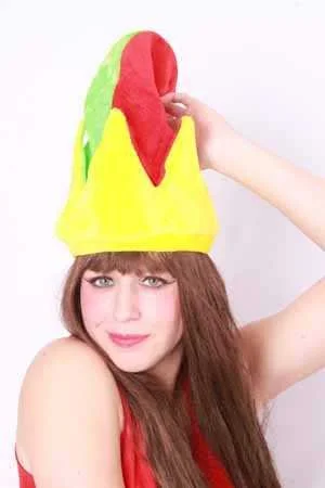 Narrensteek In Limburgse Kleuren 4 Narrensteek In Limburgse Kleuren - Afbeelding 2