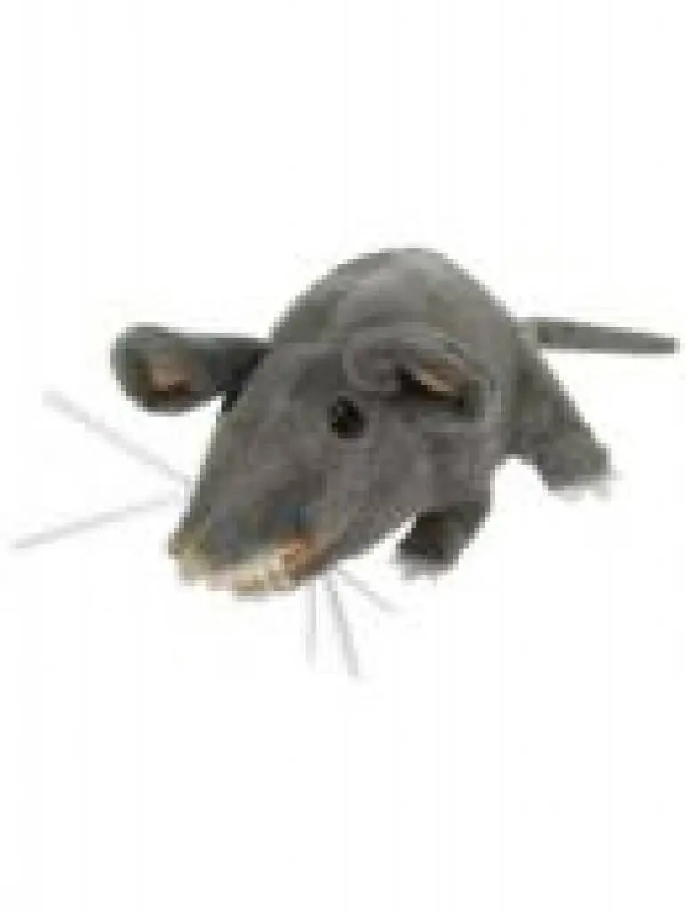 Pluche Rat Als Decoratie 3 Pluche Rat Als Decoratie