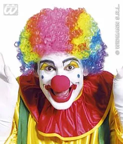 Pruik Meerkleurig Met Krullen