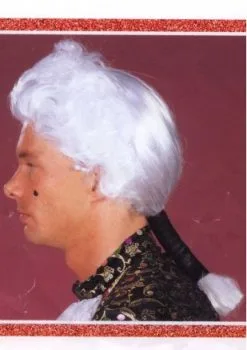 Pruik Mozart Klassiek