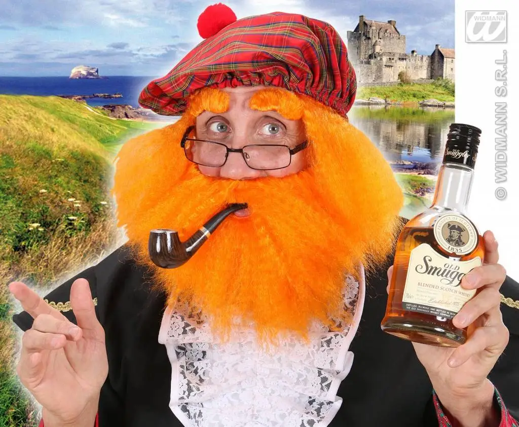 Pruik Schotse Hooglander 4 Pruik Schotse Hooglander - Afbeelding 2