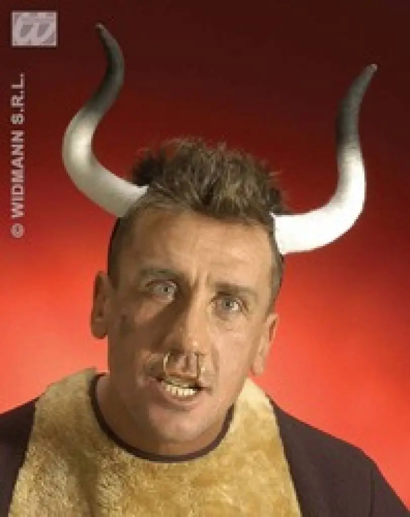 Stieren-hoorns Voor Echte Bulls 3 Stieren-hoorns Voor Echte Bulls