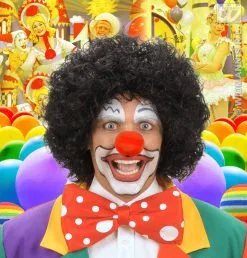Zwarte Clownspruik