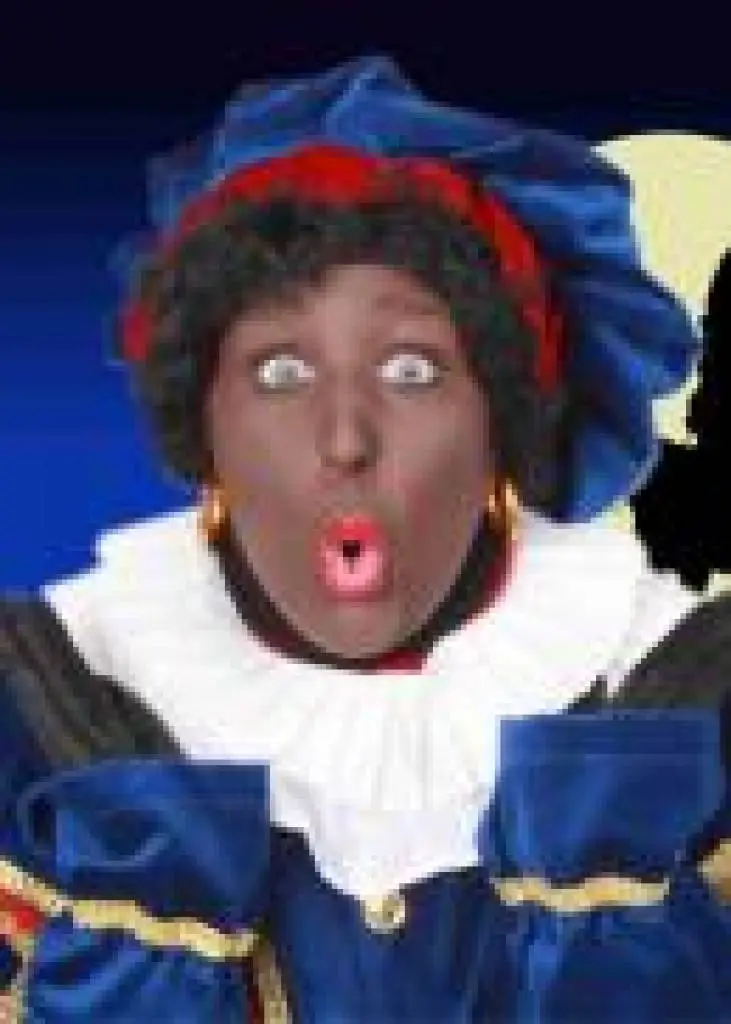 Zwarte Piet Pruik Met Krul 3 Zwarte Piet Pruik Met Krul