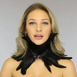 Zwarte Victorian Veren Kraag